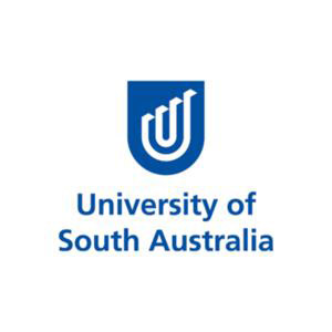南澳大学
